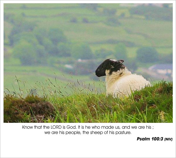 Psalm 100:3 - We are the sheep of His pasture