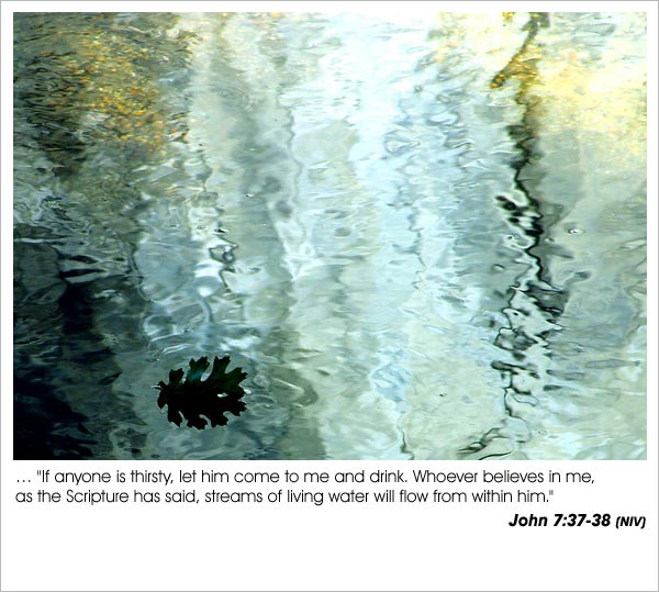 John 7:37-38 - If anyone is thirsty